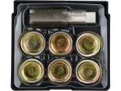 Set Reparat BuȘoane Baie De Ulei M22x1,5