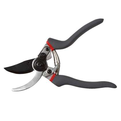 Foarfeca Vie Cu Lamele / 19mm