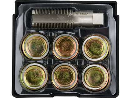 Set Reparat Bușoane Baie De Ulei M22X1,5