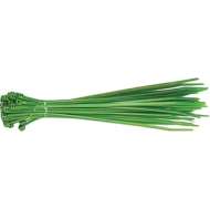 Brida Nylon, Verde - 4,5X200 Mm (100)