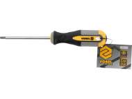 Surubelniță Torx T25X100Mm