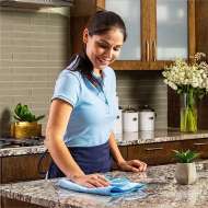 Laveta Microfibra Pt. Geamuri 400 X 400 Mm (Nc)