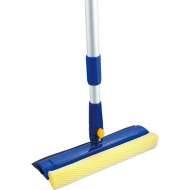 Racleta Geam Cu Burete 25 Cm, Coada Telescopica (Nc)