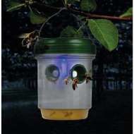 Capcana solara pentru tantari/viespii 