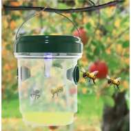 Capcana solara pentru tantari/viespii 