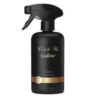 Odorizant Parfum Caribi Pentru Interior 501 250ml