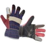 Manusi Lacatus - Robin 12539 (Vp)