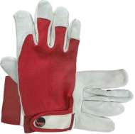 Manusi Piele Capra, Manseta Scai