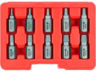 Set Extractoare, 10 Piese