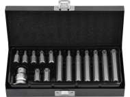 Set BiȚi Torx 15 Piese