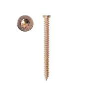Suruburi Montaj Profil Cu Cap Torx 7.5x52mm, 100/set